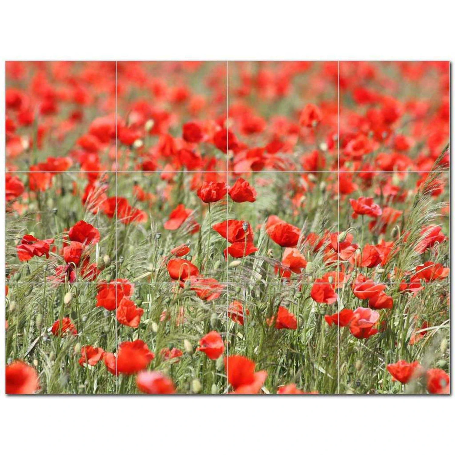 Flowers Ceramic Tile Mural Kitchen Backsplash Bathroom Shower 402538-S43 3 Flowers Ceramic Tile Mural Kitchen Backsplash Bathroom Shower 402538-S43